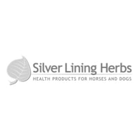 logo-silverlining